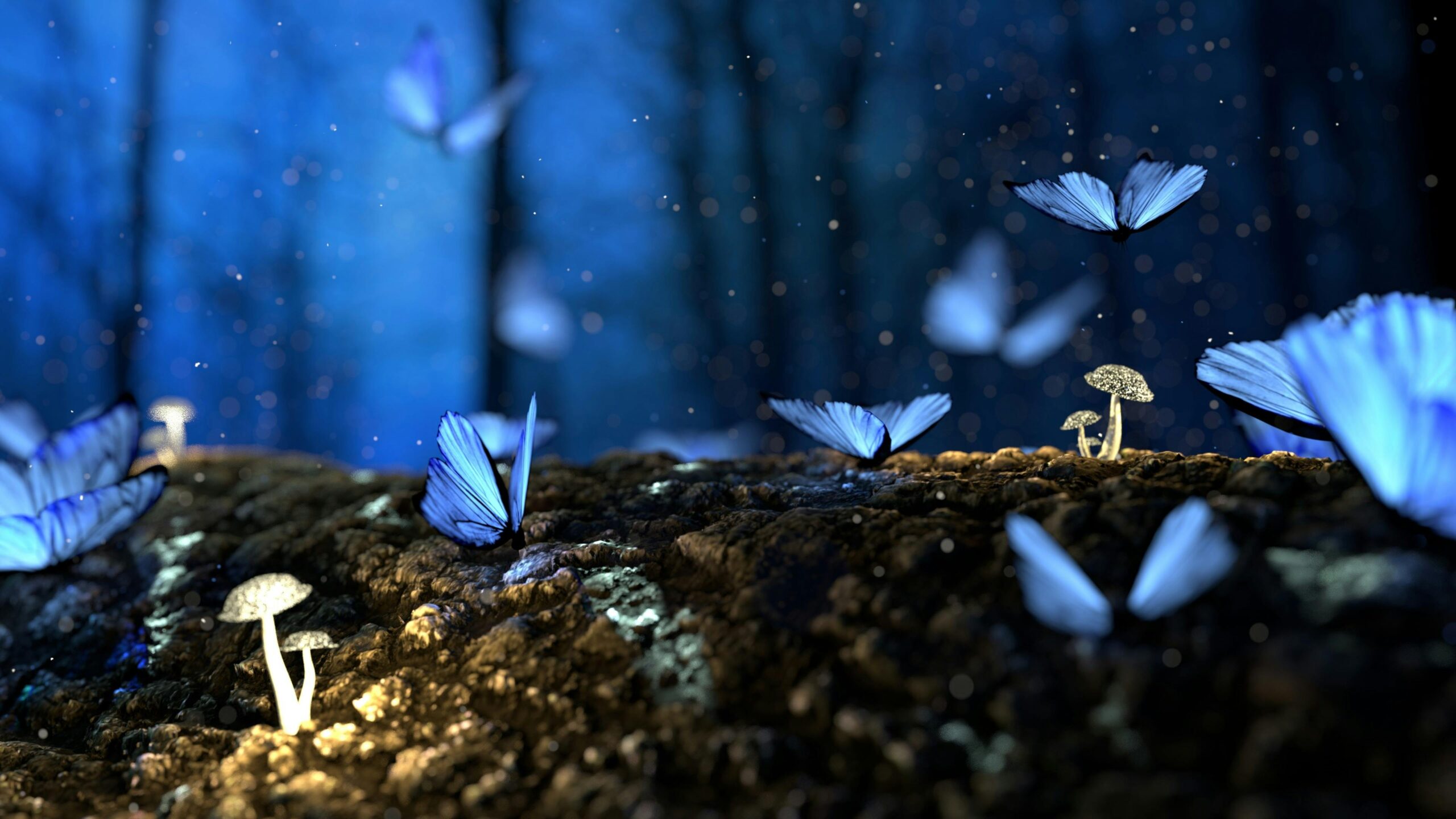 Short meditations for anxiety, lack of clarity, and fear