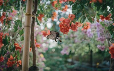 The Eternal Horizon: Finding Meaning from Ambition to Stillness